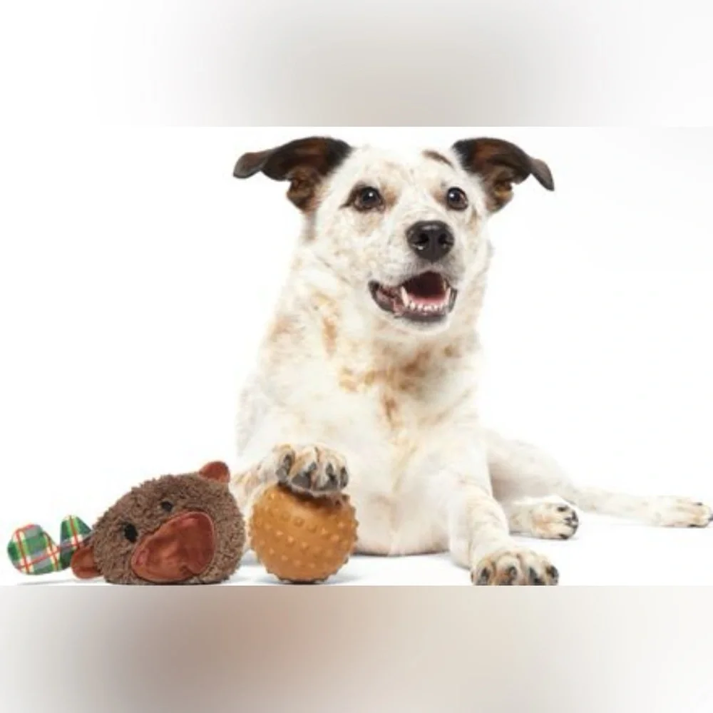 Bark one toy